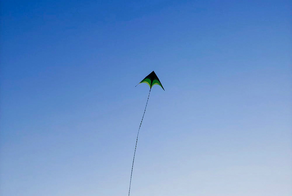 Green Kite Flying on Sky